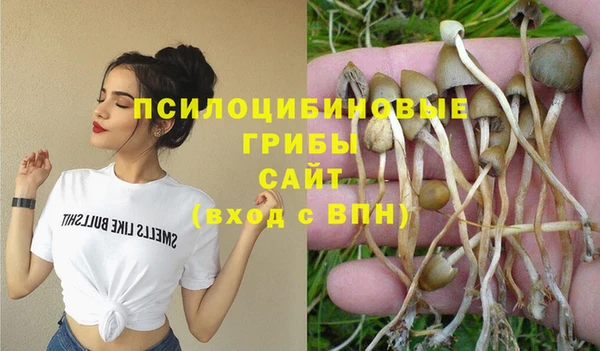 бошки Арсеньев