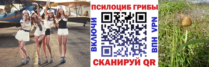 Галлюциногенные грибы Psilocybe  OMG ТОР  Тимашёвск  купить наркотики цена 